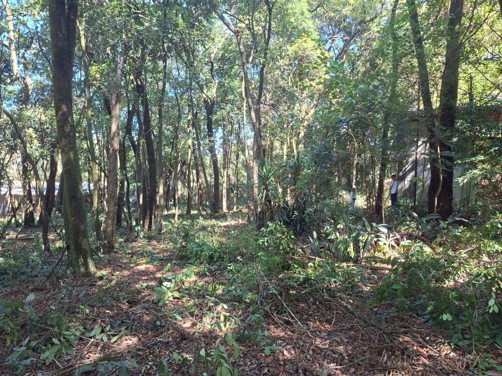 Lote, Recanto da Aldeia, 0 Quarto, 0 Vaga