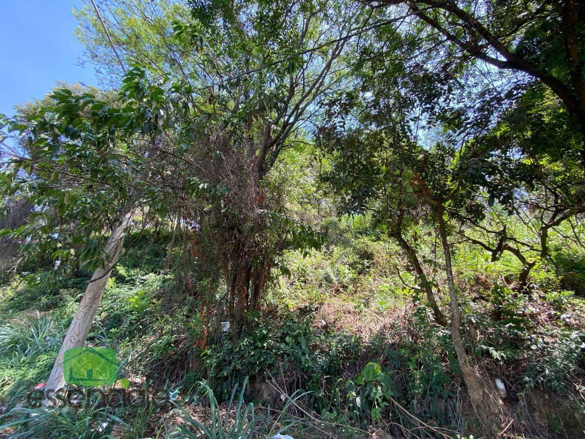 Lote, Europa, 0 Quarto, 0 Vaga