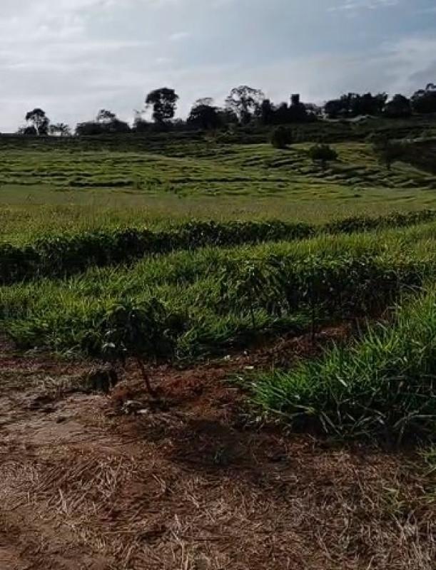 Fazenda, Zona Rural, 0 Quarto, 0 Vaga