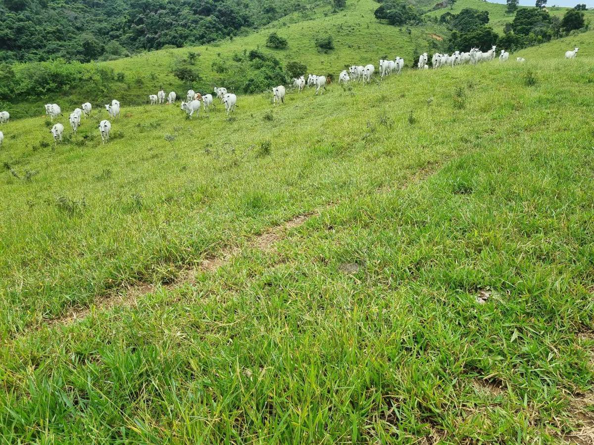 Fazenda, Zona Rural, 2 Quartos, 1 Vaga