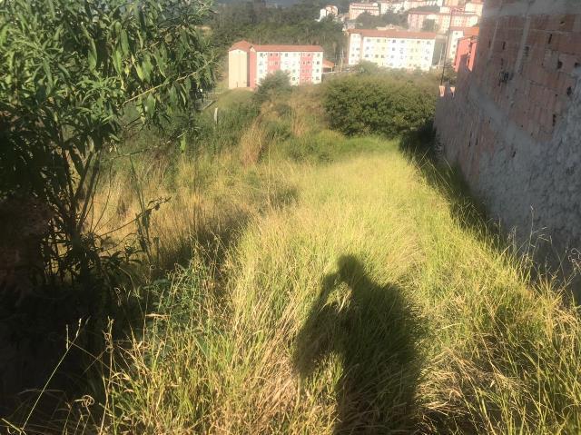 Lote, Jardim Vitória, 0 Quarto, 0 Vaga