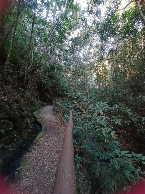 Lote, Honório Bicalho, 0 Quarto, 0 Vaga