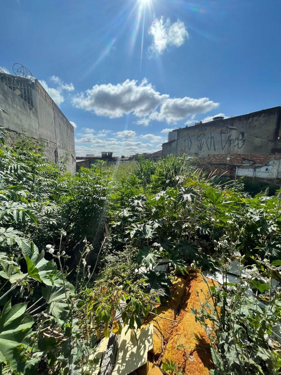 Lote, Tirol, 0 Quarto, 0 Vaga