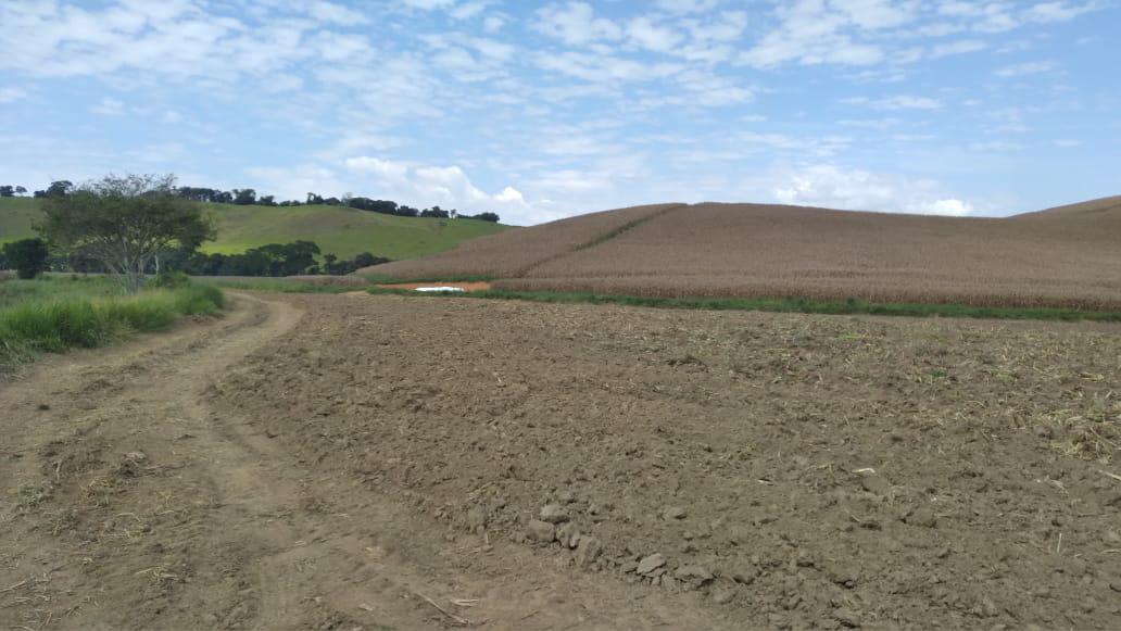 Fazenda, Dos Campos, 3 Quartos, 5 Vagas