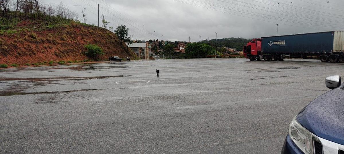 Lote, Frimisa, 1 Quarto, 0 Vaga