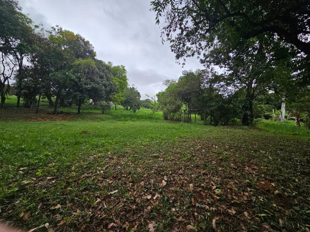 Lote, Braúnas, 0 Quarto, 0 Vaga