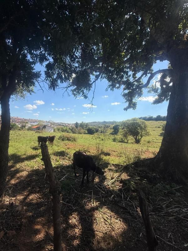 Fazenda, Zona Rural, 0 Quarto, 0 Vaga