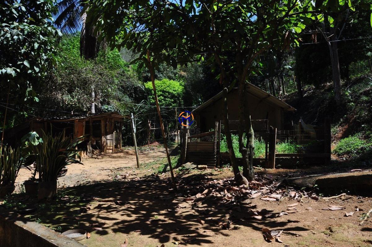 Lote, Ime Farage, 0 Quarto, 0 Vaga