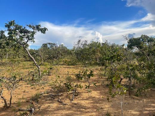 Lote, São Jose de Almeida, 0 Quarto, 0 Vaga