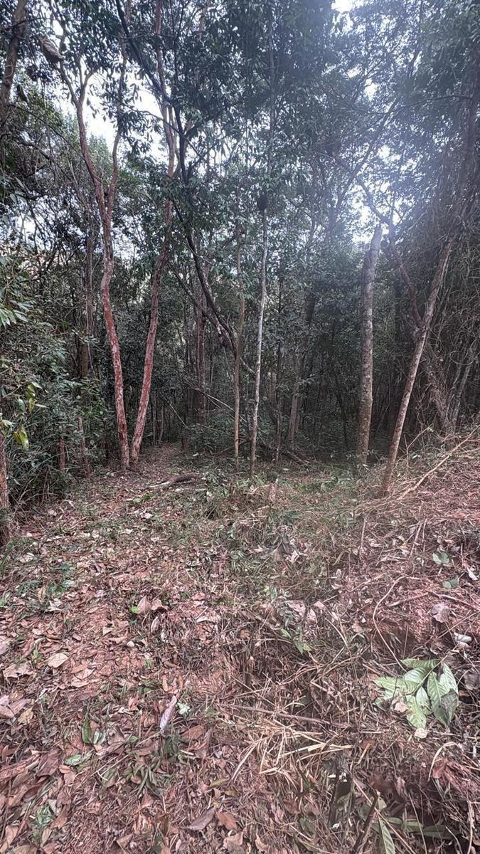 Lote, Acurui, 0 Quarto, 0 Vaga