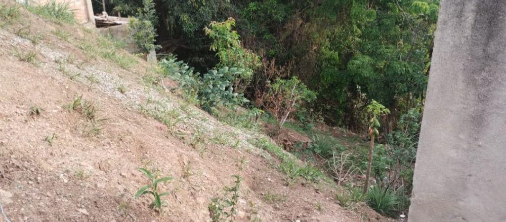 Lote, Vila Rica, 0 Quarto, 0 Vaga