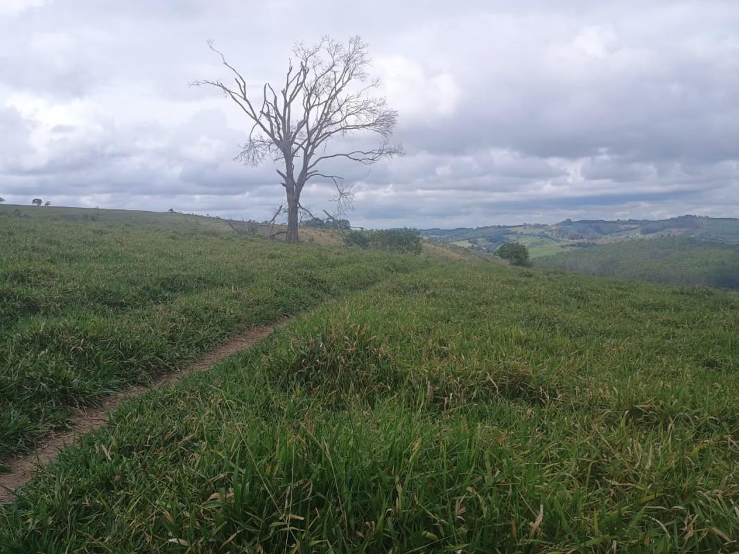 Fazenda, Zona Rural, 0 Quarto, 0 Vaga