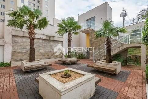 Apartamento, Palmeiras, 3 Quartos, 0 Vaga, 1 Suíte