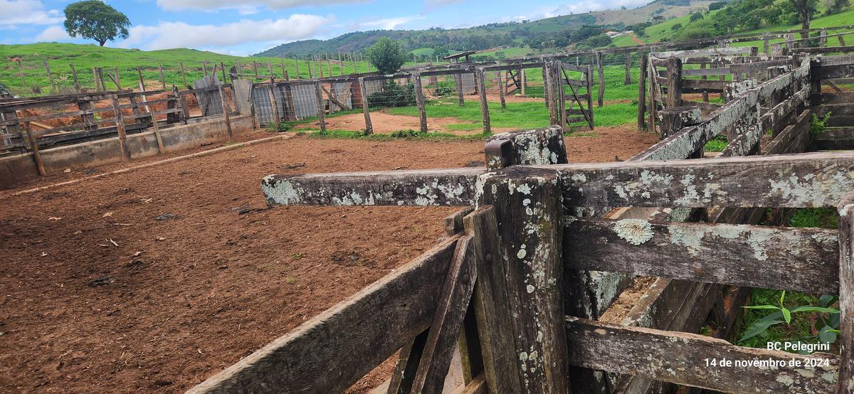 Fazenda, Centro, 3 Quartos, 0 Vaga