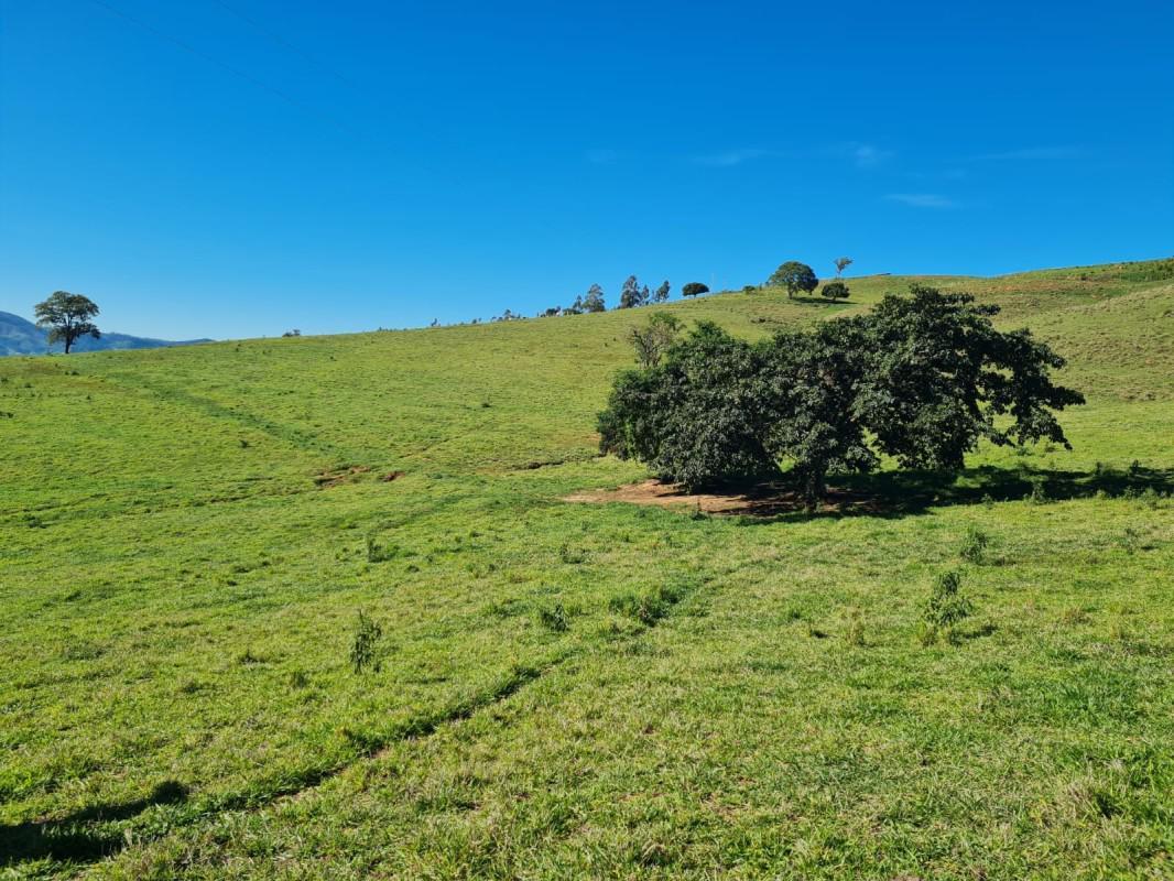 Fazenda, Zona Rural, 0 Quarto, 0 Vaga