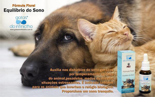 Florais No Tratamento de Animais