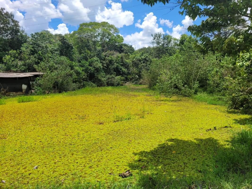 Fazenda, Zona Rural, 0 Quarto, 0 Vaga