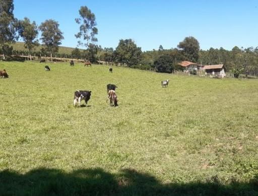 Fazenda, Zona Rural, 3 Quartos, 0 Vaga