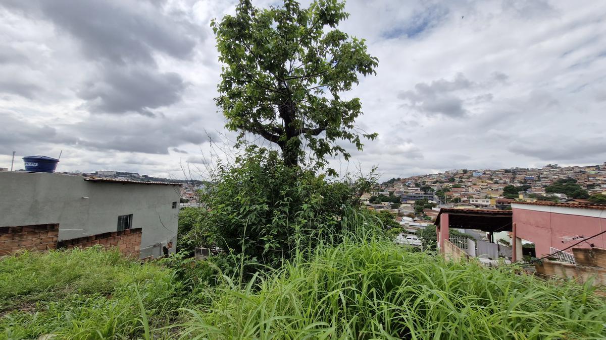 Lote, Glória, 0 Quarto, 0 Vaga