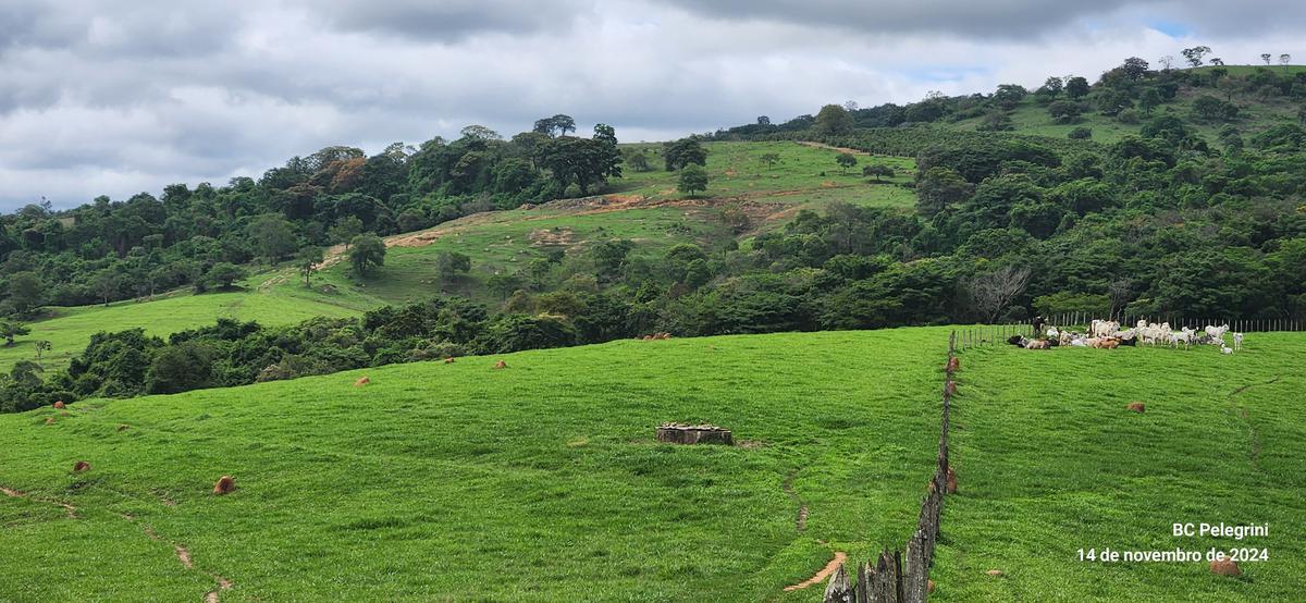 Fazenda, Centro, 3 Quartos, 0 Vaga