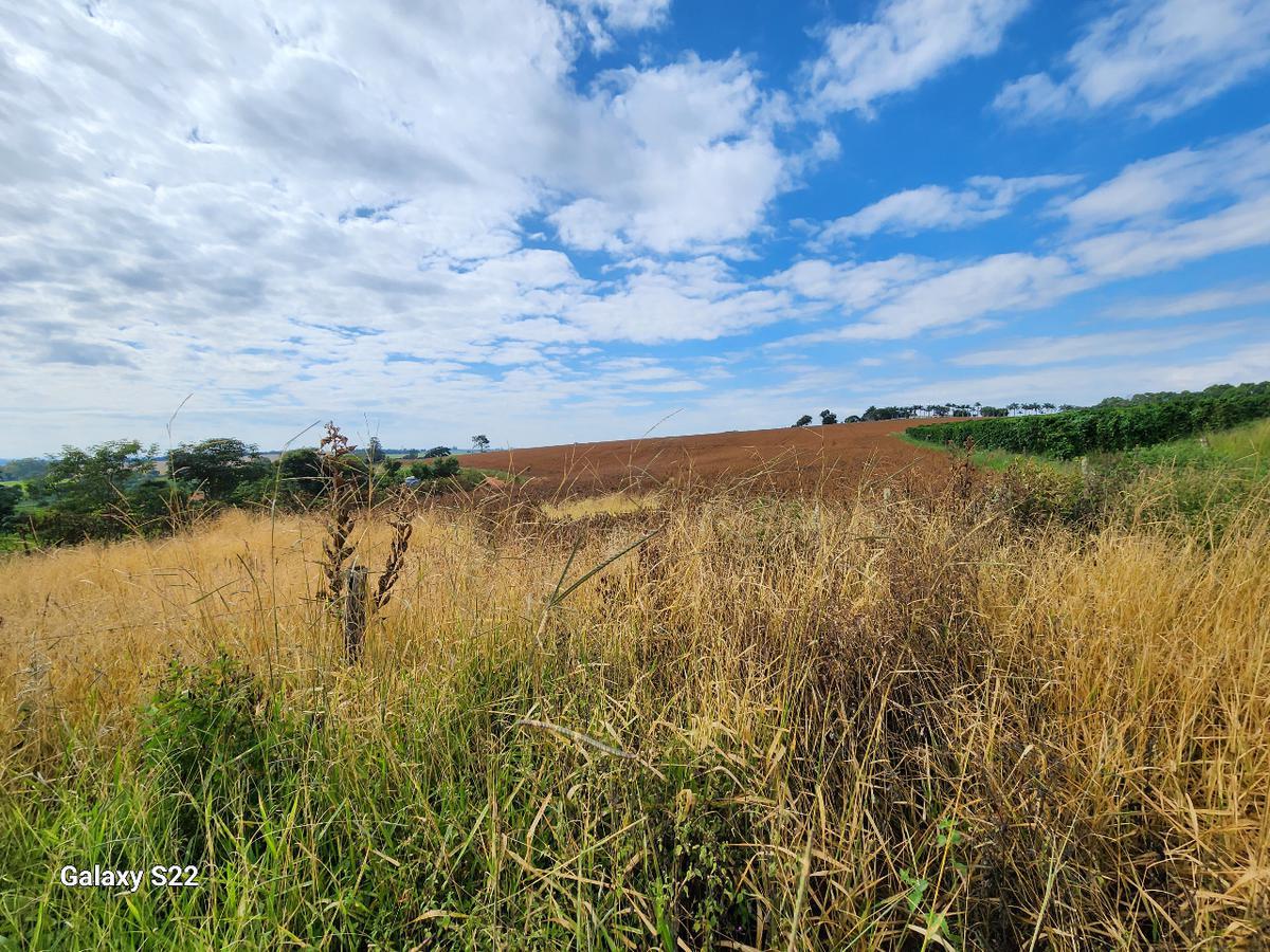 Fazenda, Centro, 2 Quartos, 0 Vaga