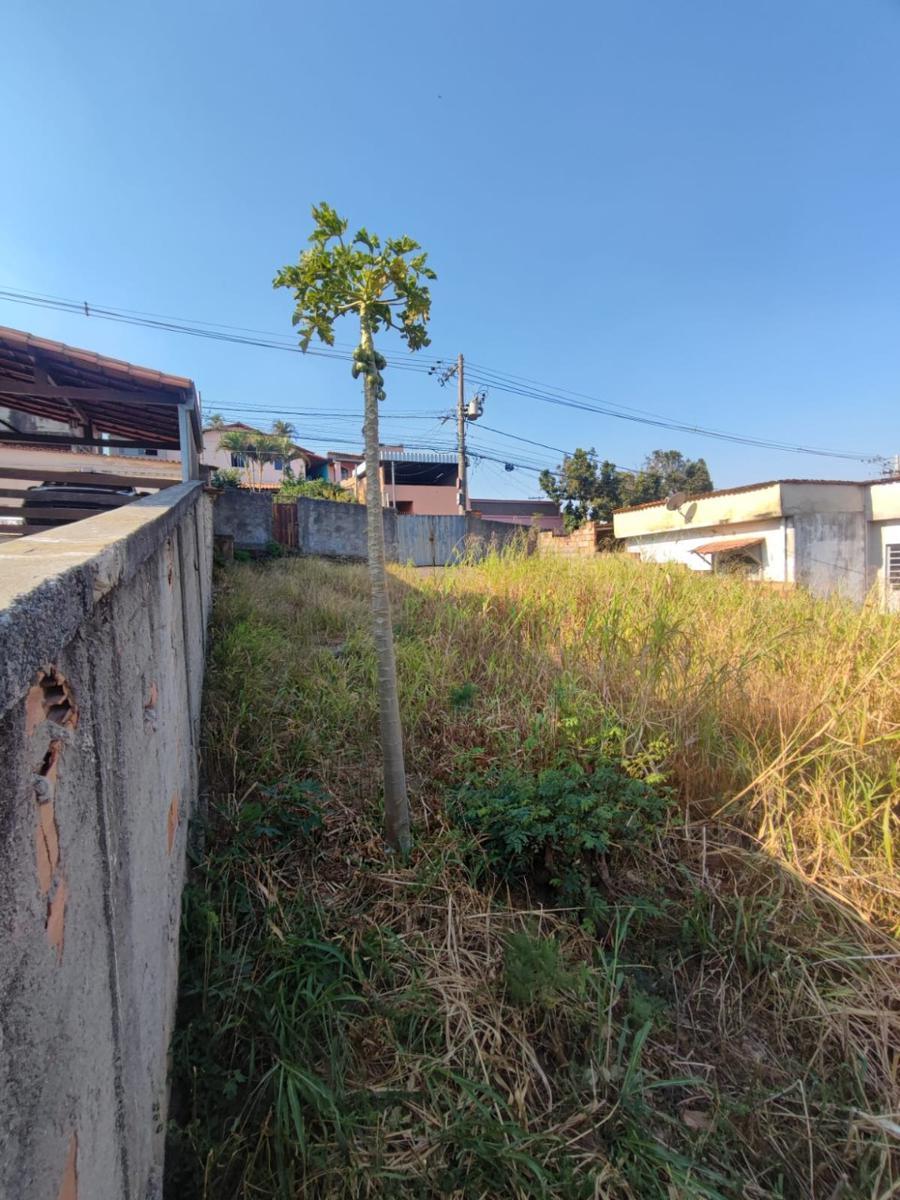 Lote, São Bernardo, 0 Quarto, 0 Vaga