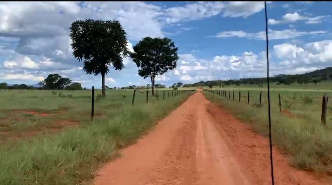 Fazenda, Zona Rural, 7 Quartos, 0 Vaga