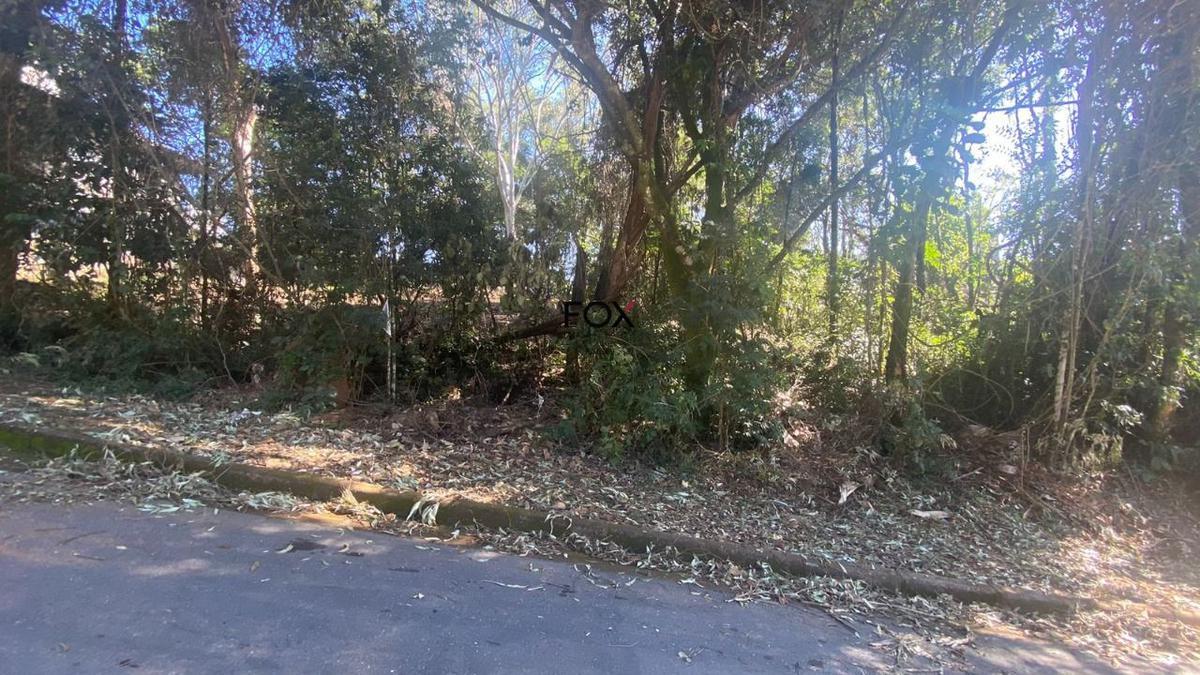 Lote, Quintas do Sol, 0 Quarto, 0 Vaga