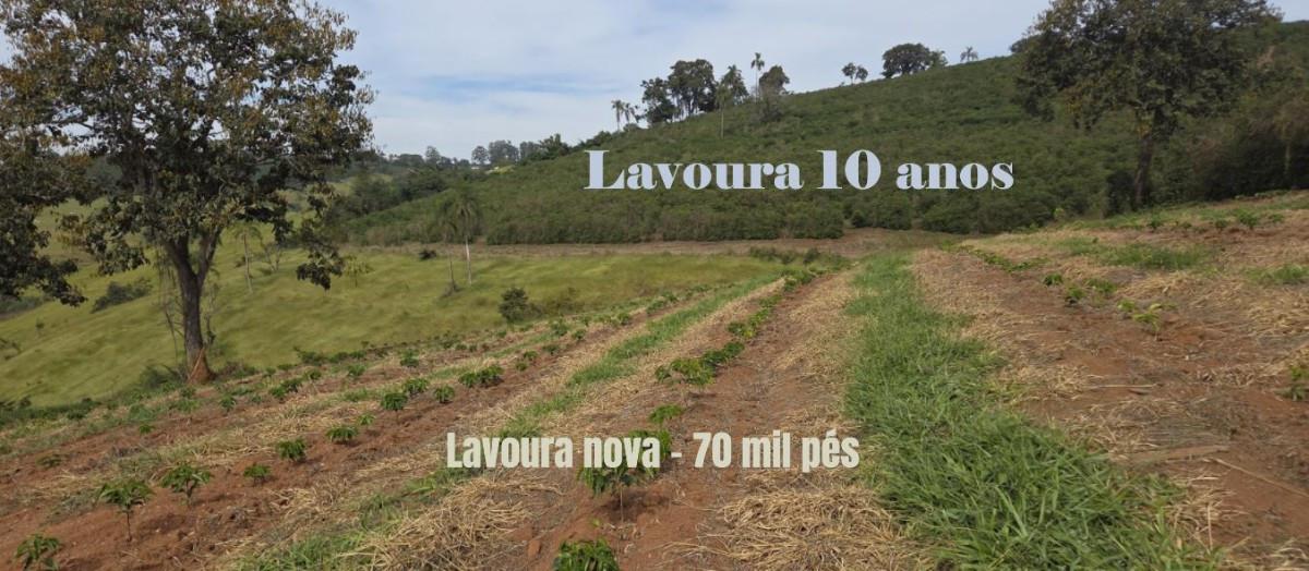 Fazenda, Zona Rural, 0 Quarto, 0 Vaga