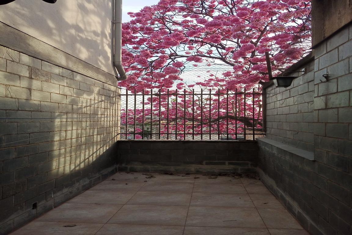 Apartamento, Ipiranga, 2 Quartos, 1 Vaga