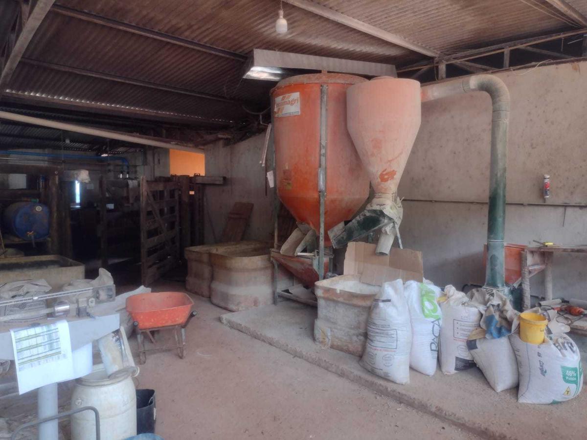 Fazenda, Zona Rural, 3 Quartos, 0 Vaga