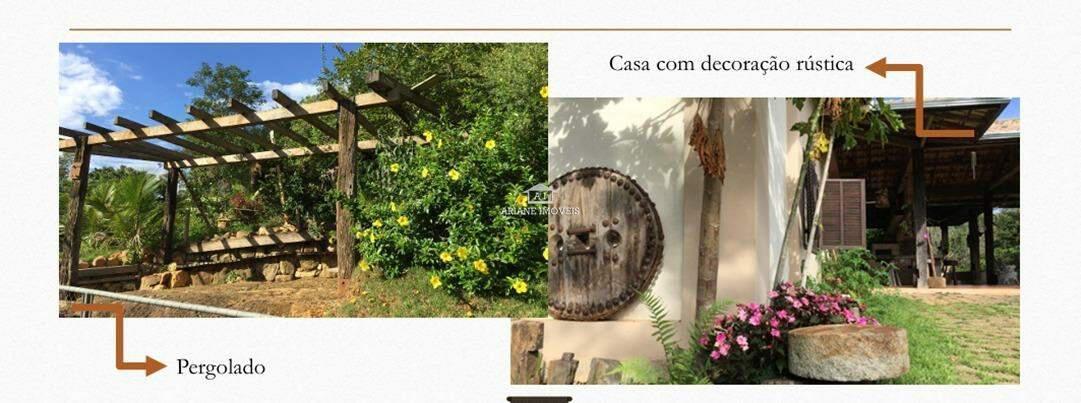 Fazenda, Borba Gato, 0 Quarto, 0 Vaga