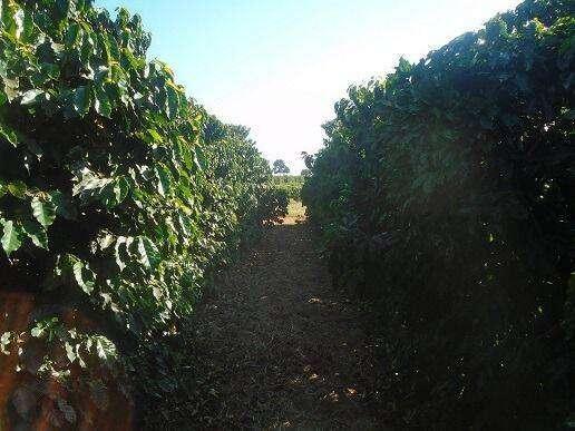 Fazenda, Zona Rural, 4 Quartos, 0 Vaga