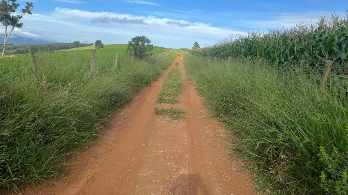 Fazenda, Zona Rural, 0 Quarto, 0 Vaga