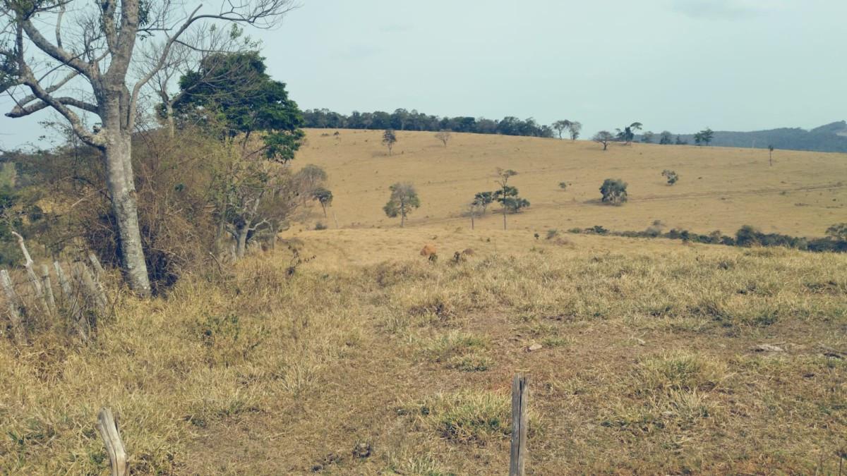 Fazenda, Zona Rural, 0 Quarto, 0 Vaga