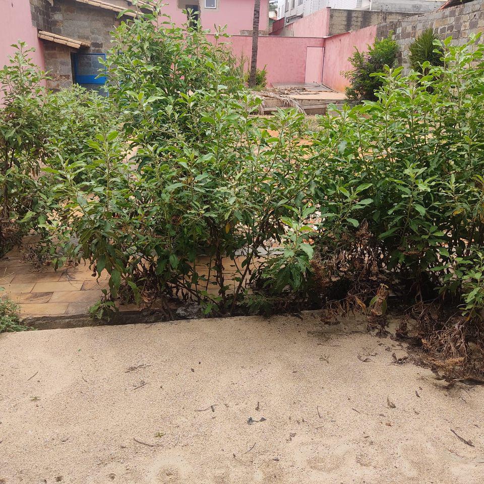 Lote, Palmares, 0 Quarto, 15 Vagas