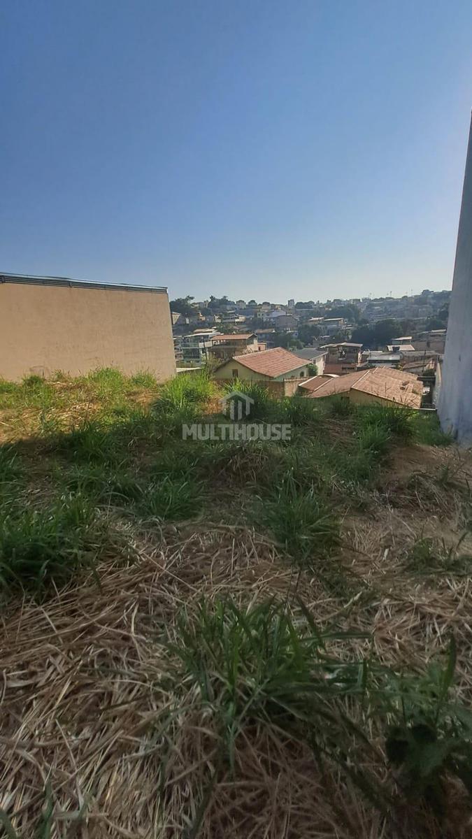 Lote, São João Batista (venda Nova), 0 Quarto, 0 Vaga