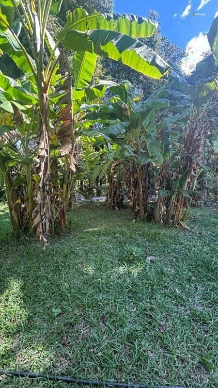 Fazenda, Bonanza, 3 Quartos, 0 Vaga, 1 Suíte