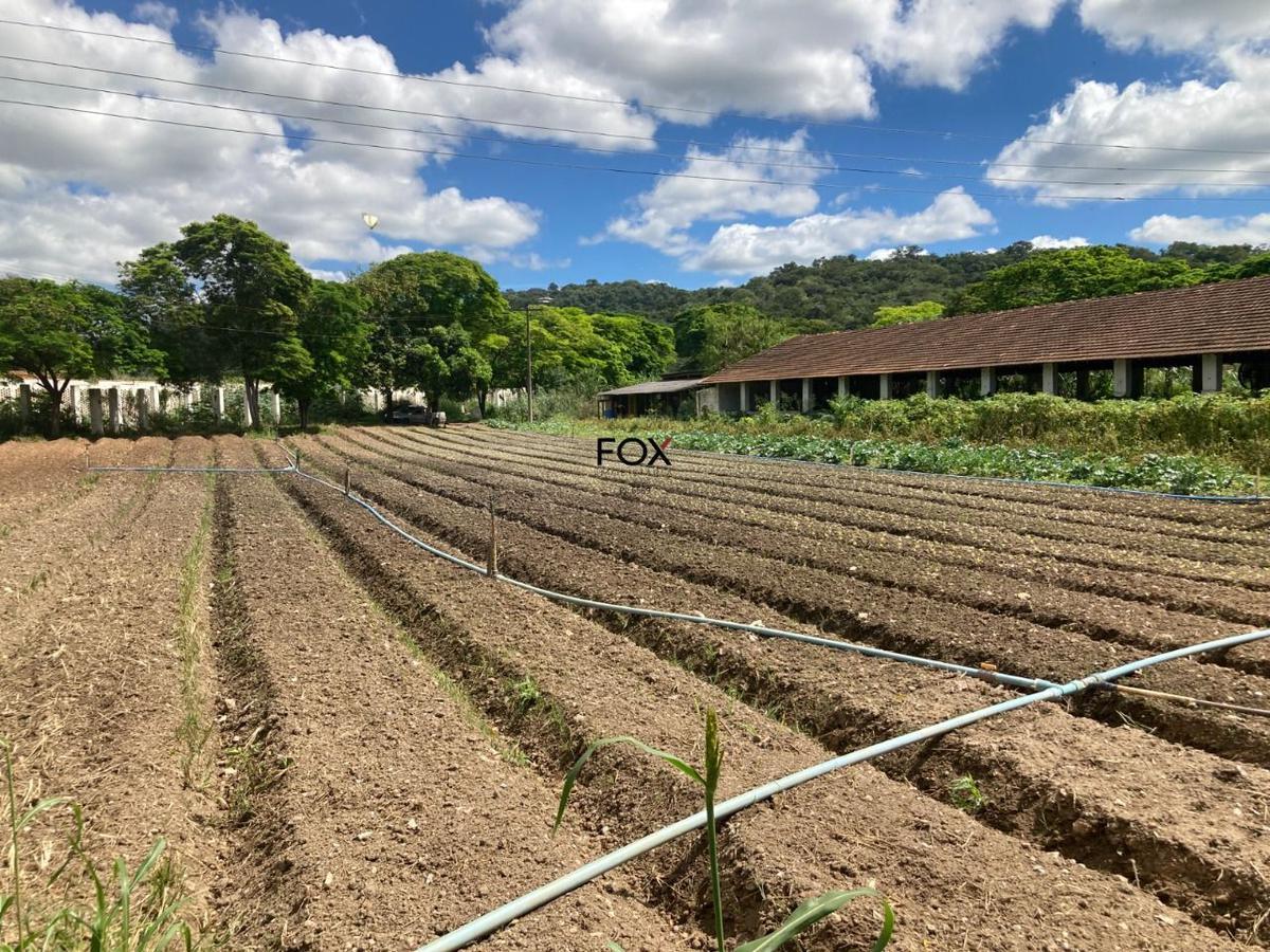 Lote, Inácia de Carvalho, 0 Quarto, 0 Vaga