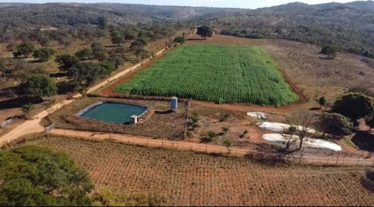Fazenda, Centro, 3 Quartos, 0 Vaga