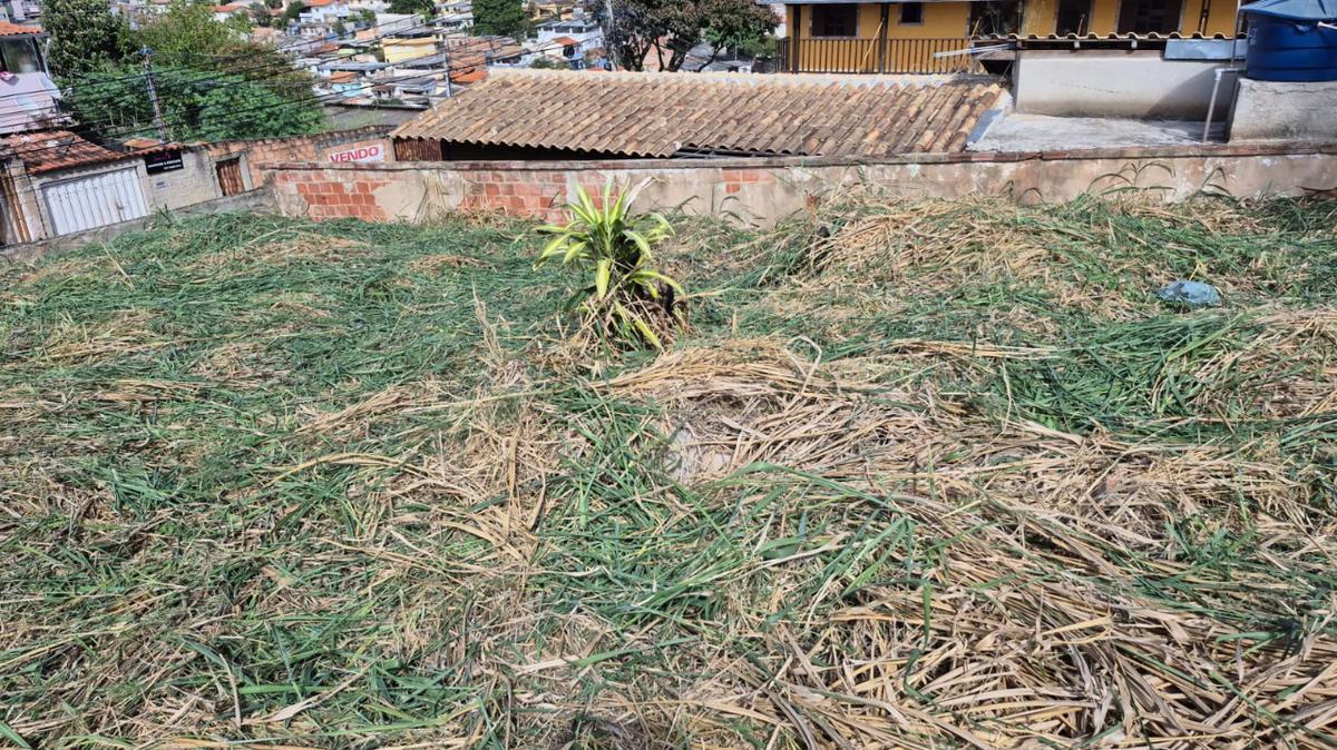 Lote, Concórdia, 0 Quarto, 0 Vaga
