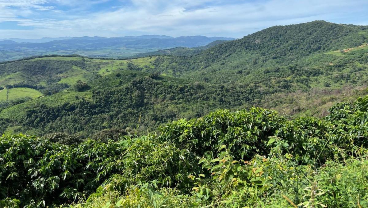 Fazenda, Zona Rural, 0 Quarto, 0 Vaga
