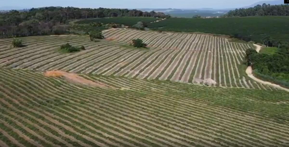 Fazenda, Zona Rural, 0 Quarto, 0 Vaga
