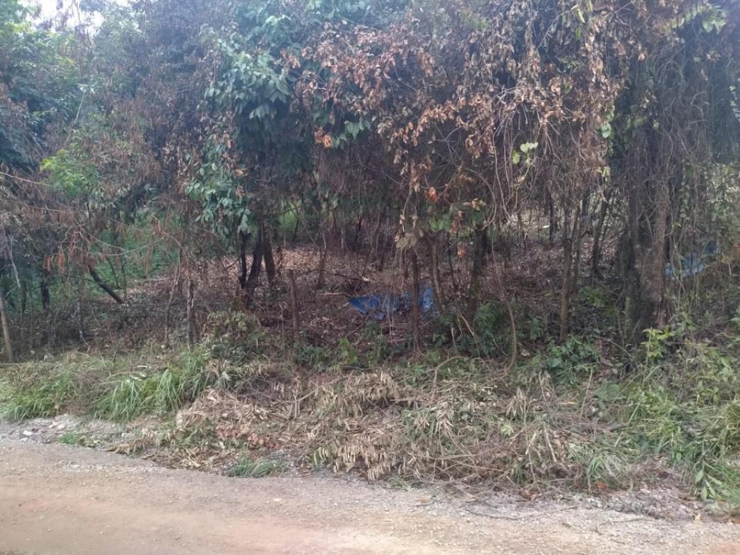 Lote, Centro, 0 Quarto, 0 Vaga