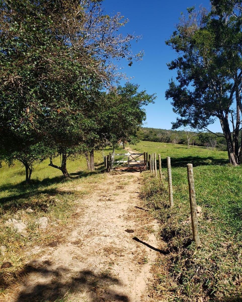 Fazenda, Centro, 1 Quarto, 0 Vaga