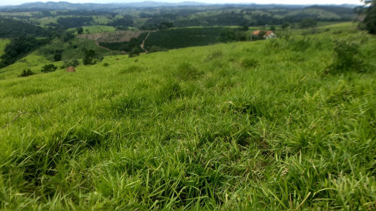 Fazenda, Zona Rural, 0 Quarto, 0 Vaga