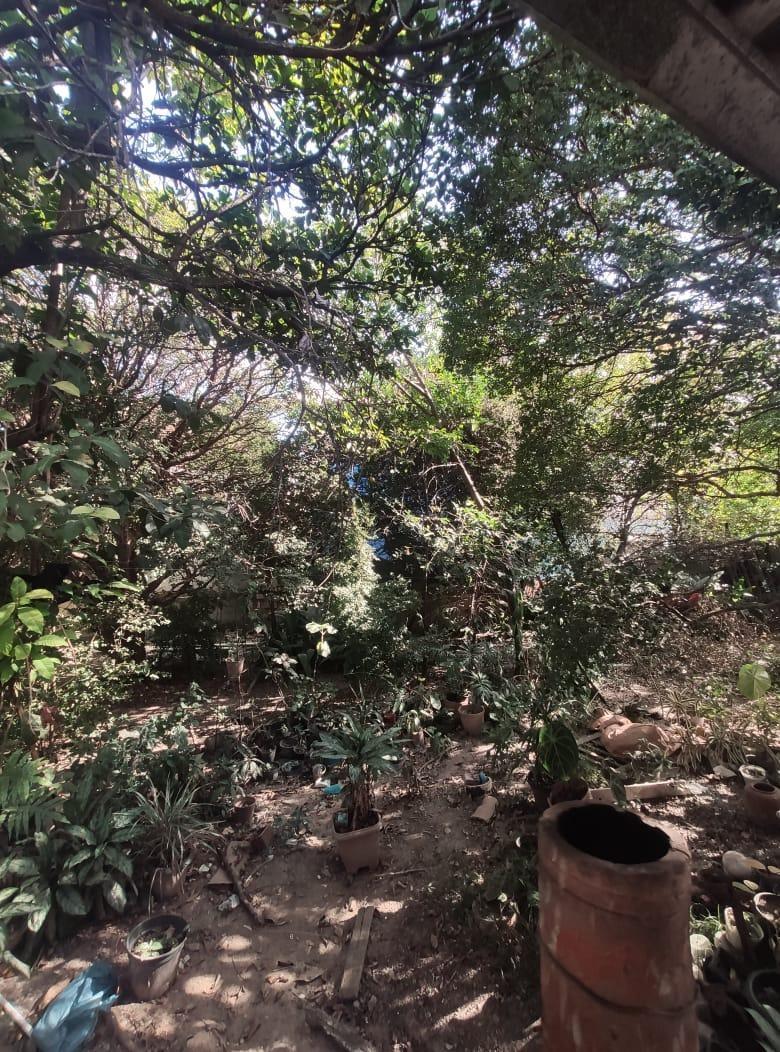 Casa, Boa Vista, 1 Quarto, 0 Vaga