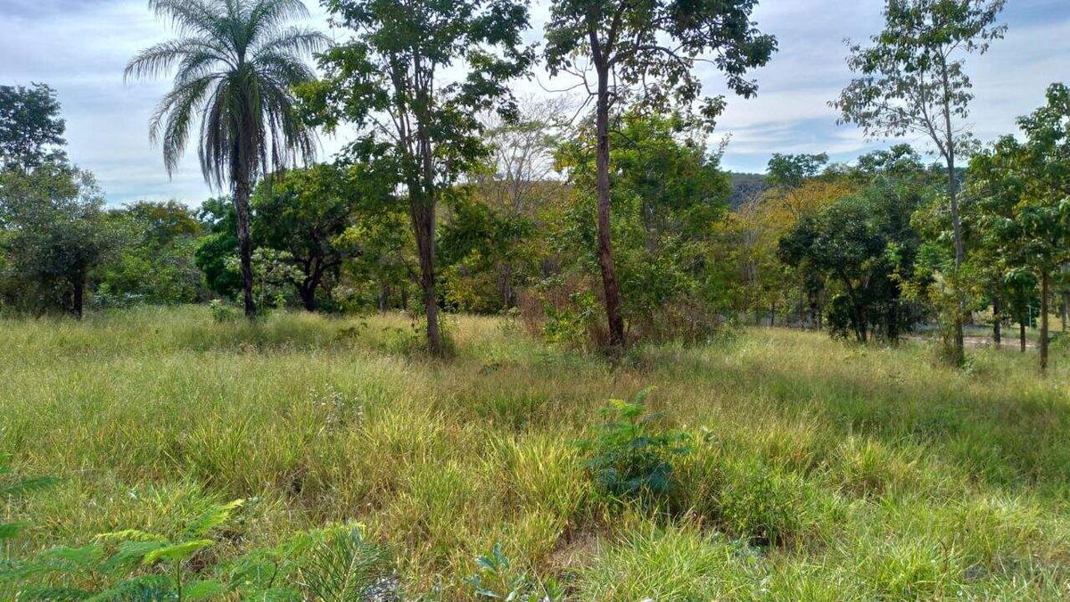 Lote, Centro, 0 Quarto, 0 Vaga
