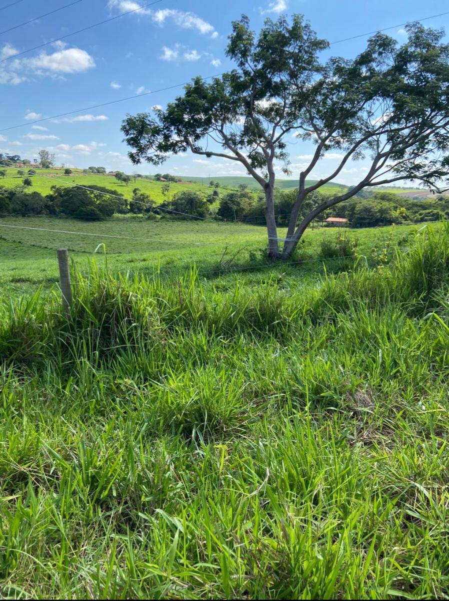 Fazenda, Zona Rural, 0 Quarto, 0 Vaga