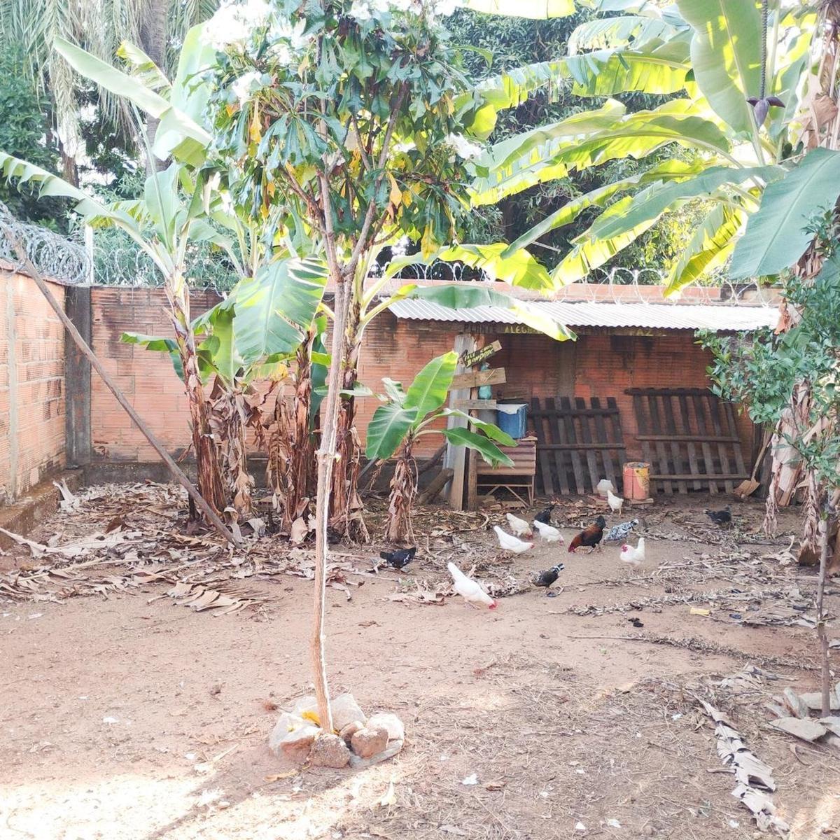 Lote, Serrano, 1 Quarto, 8 Vagas